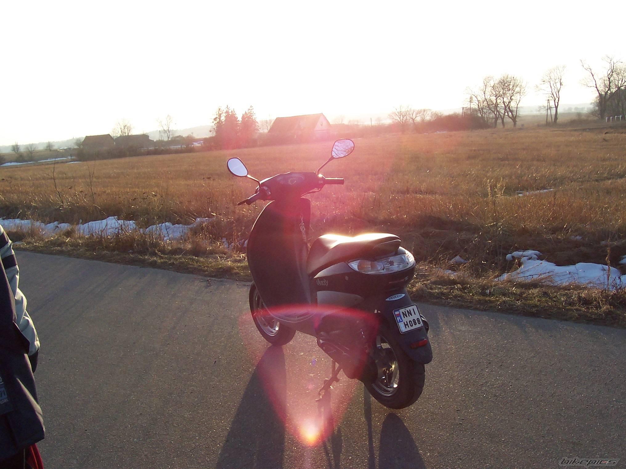 Photo 321032