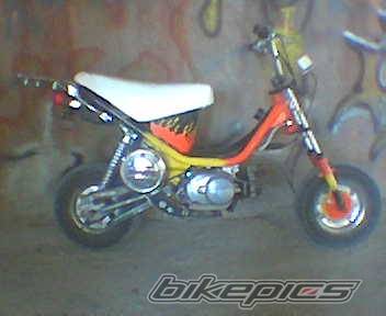 Bike Photo 321098