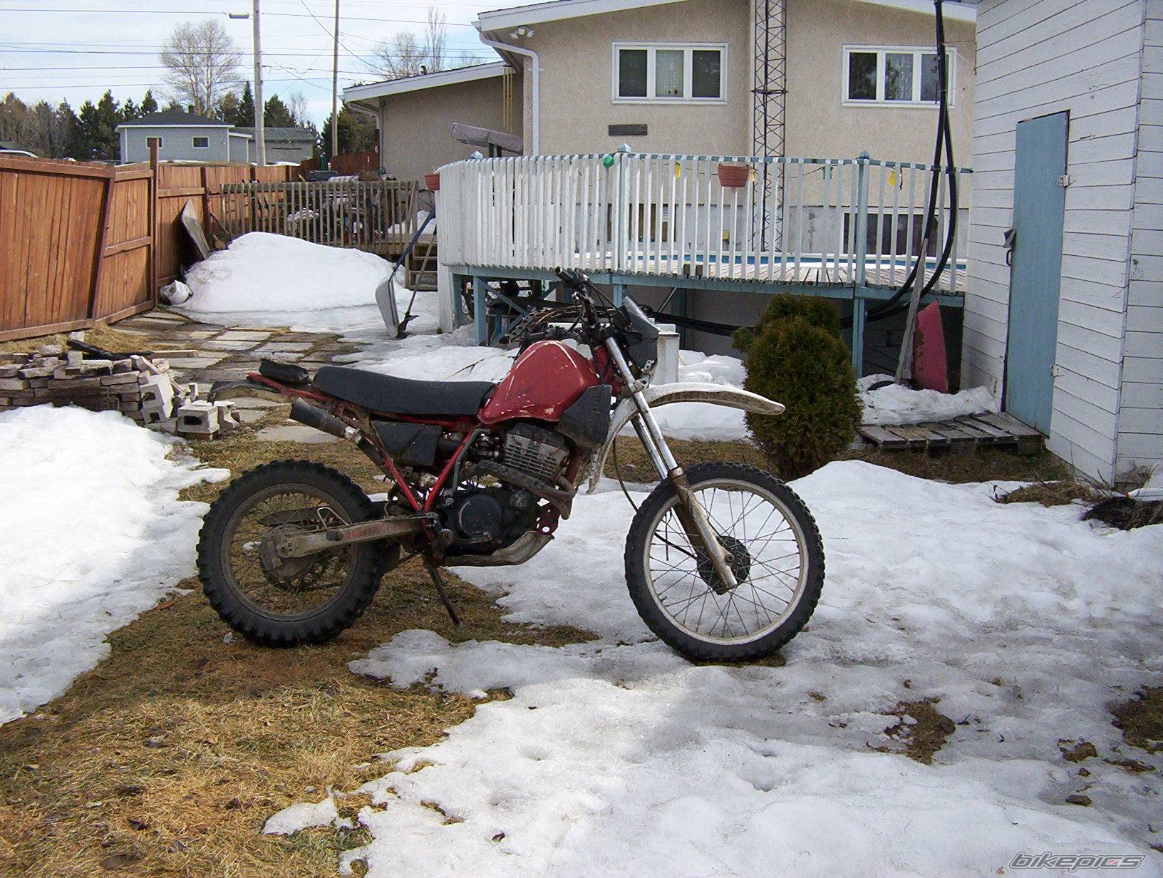Bike Photo 321227