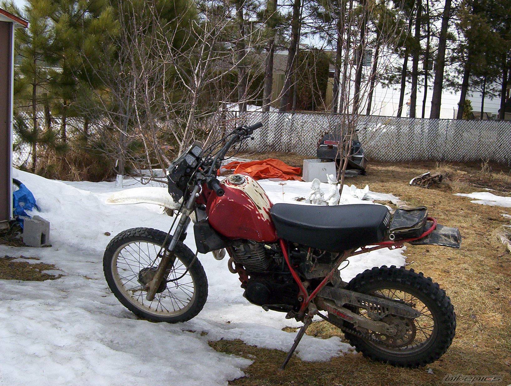 Bike Photo 321229