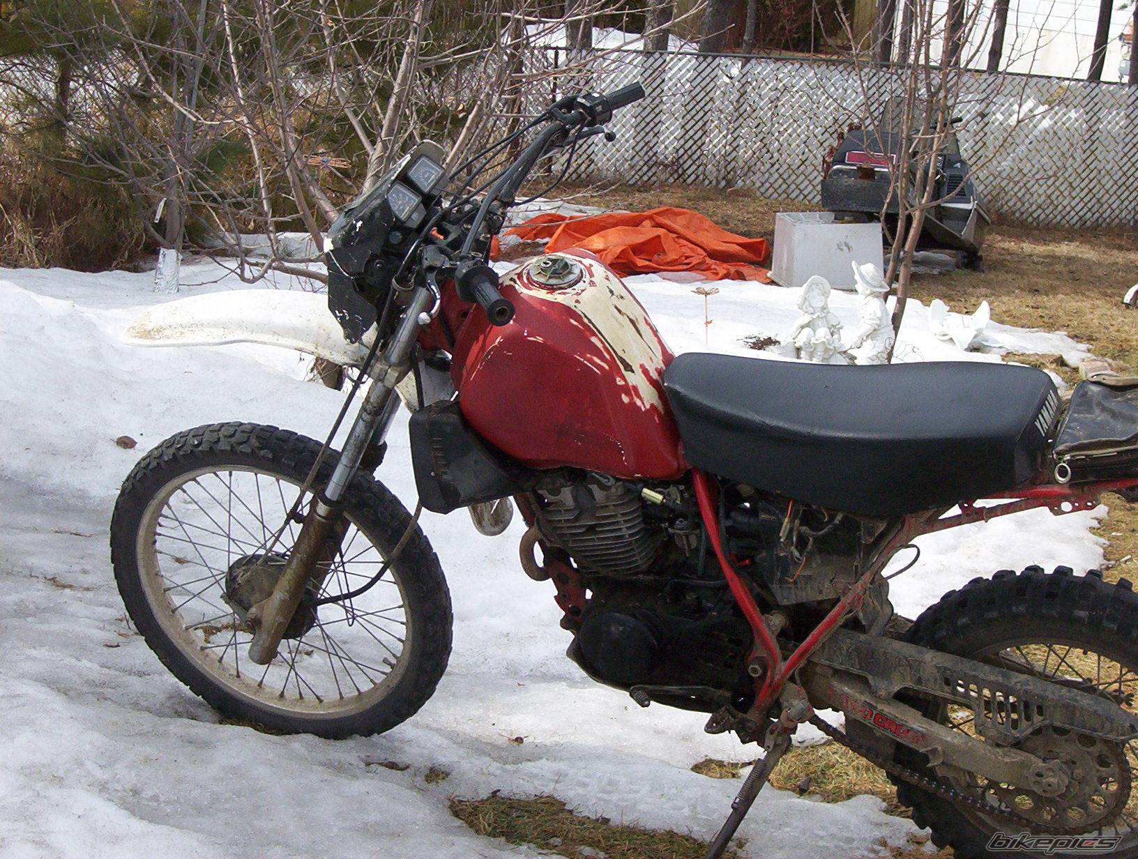 Bike Photo 321236