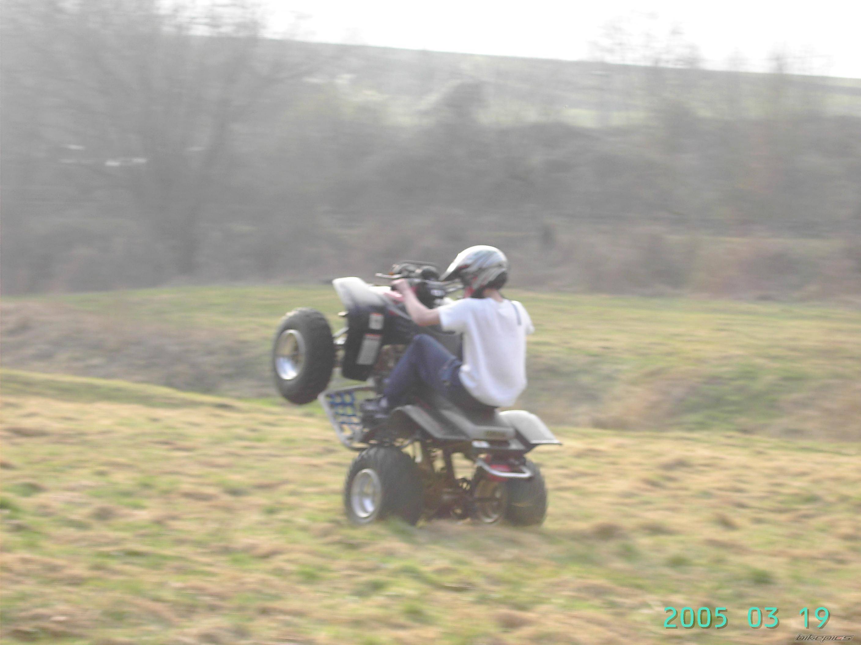 Photo 321363