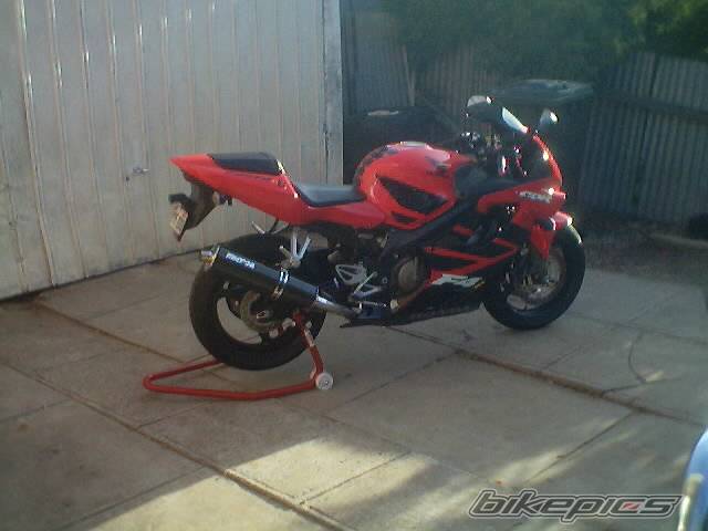 Photo 321395