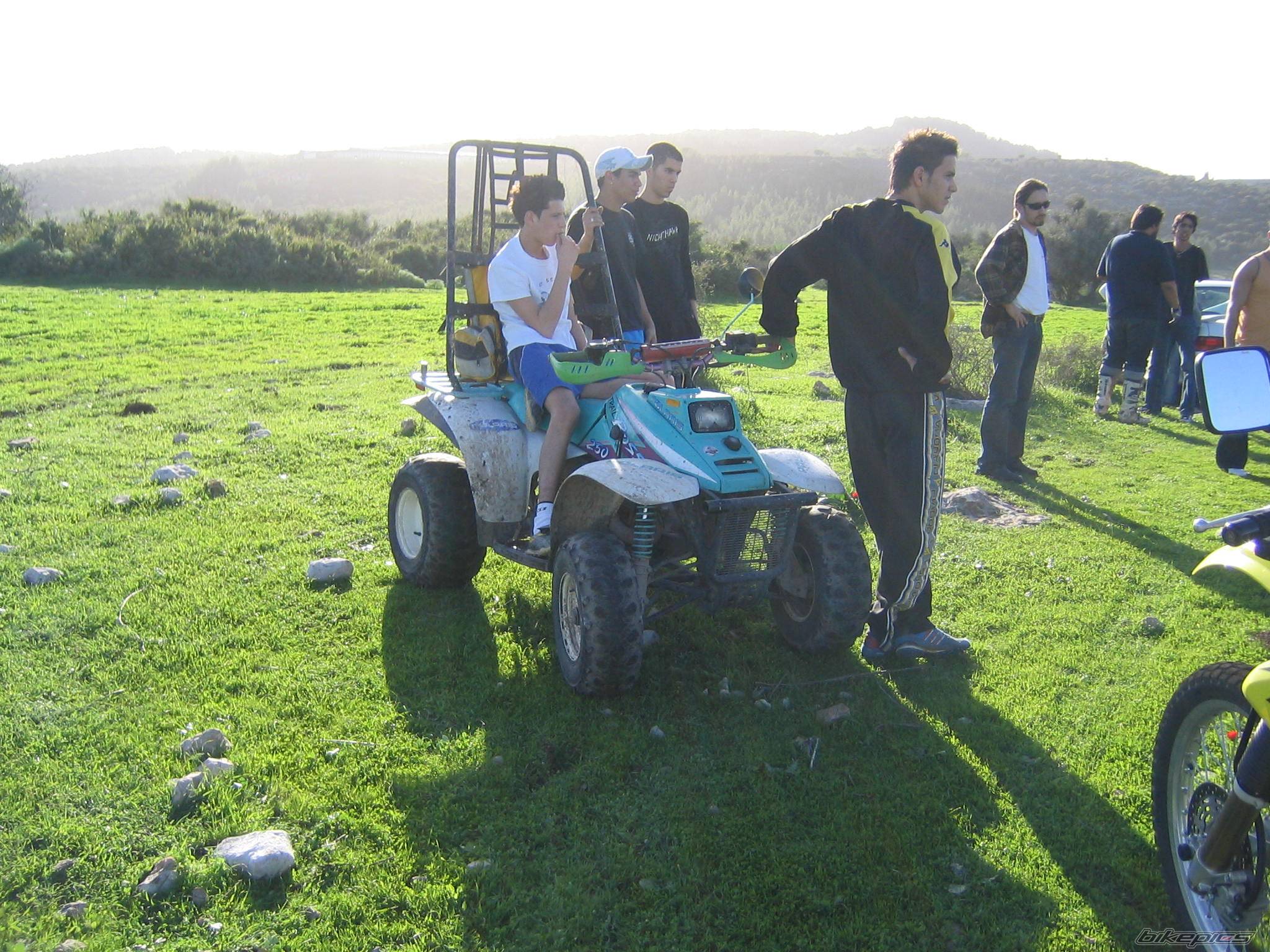 Photo 321443