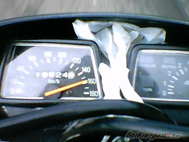 Photo 321462