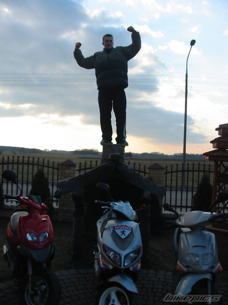 Photo 321473