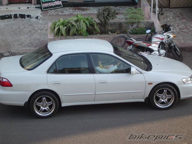 Photo 321529