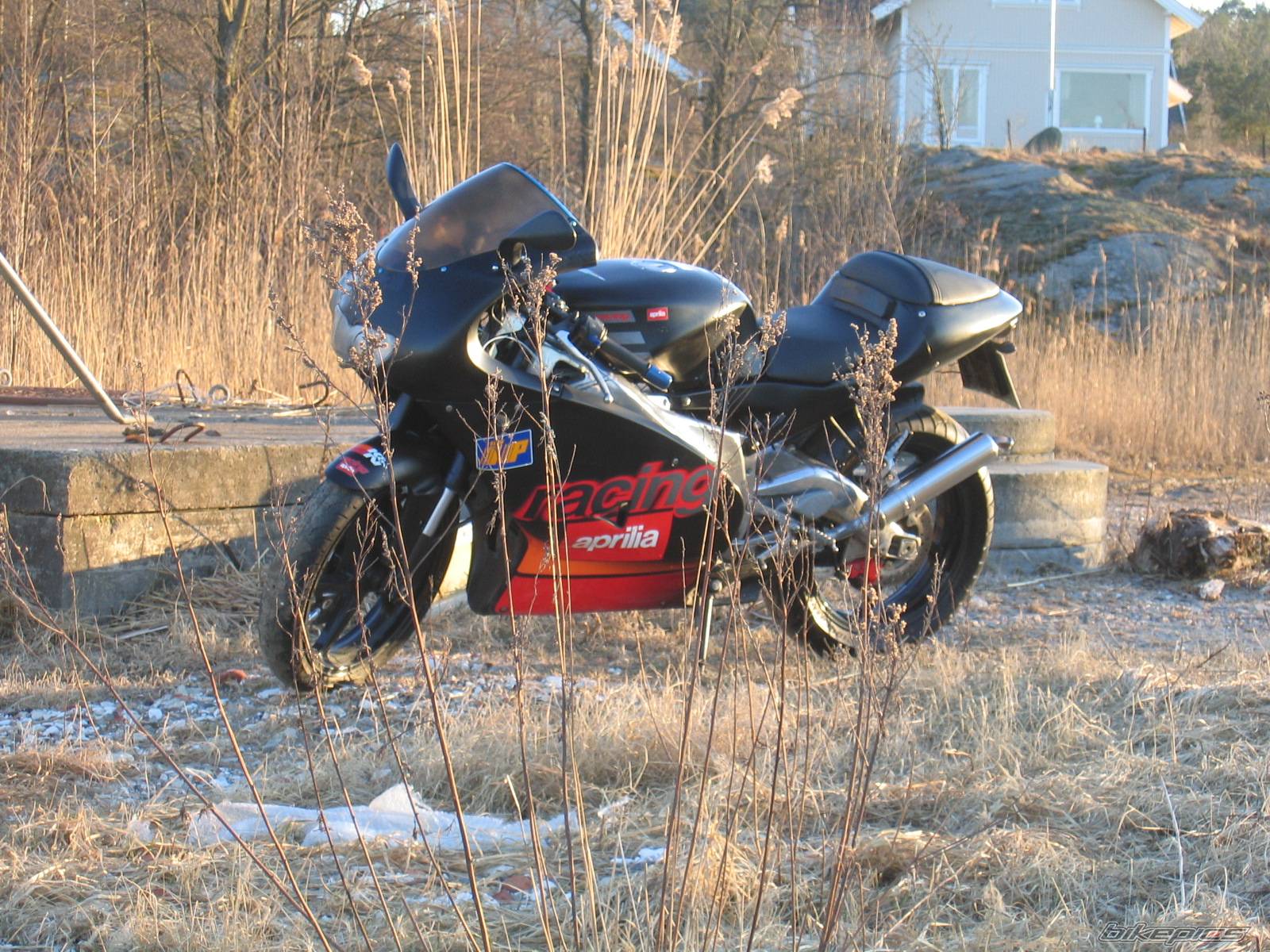 Photo 321583