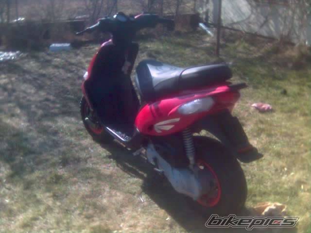 Photo 321620