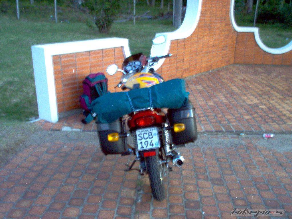 Photo 321691