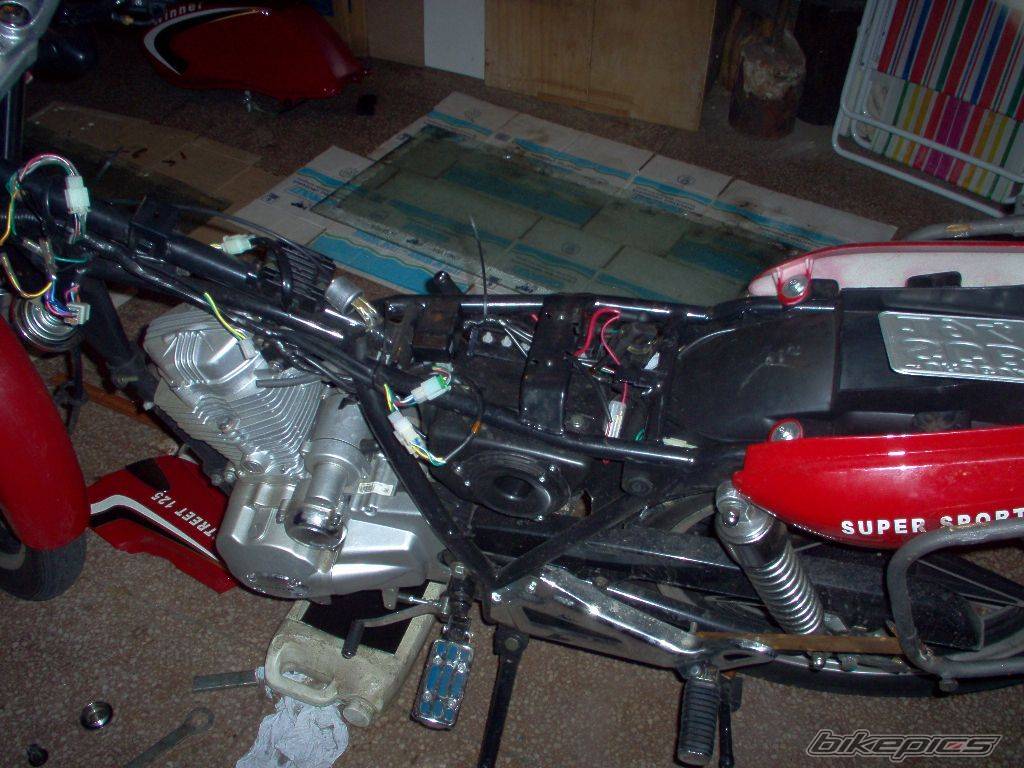 Photo 321693