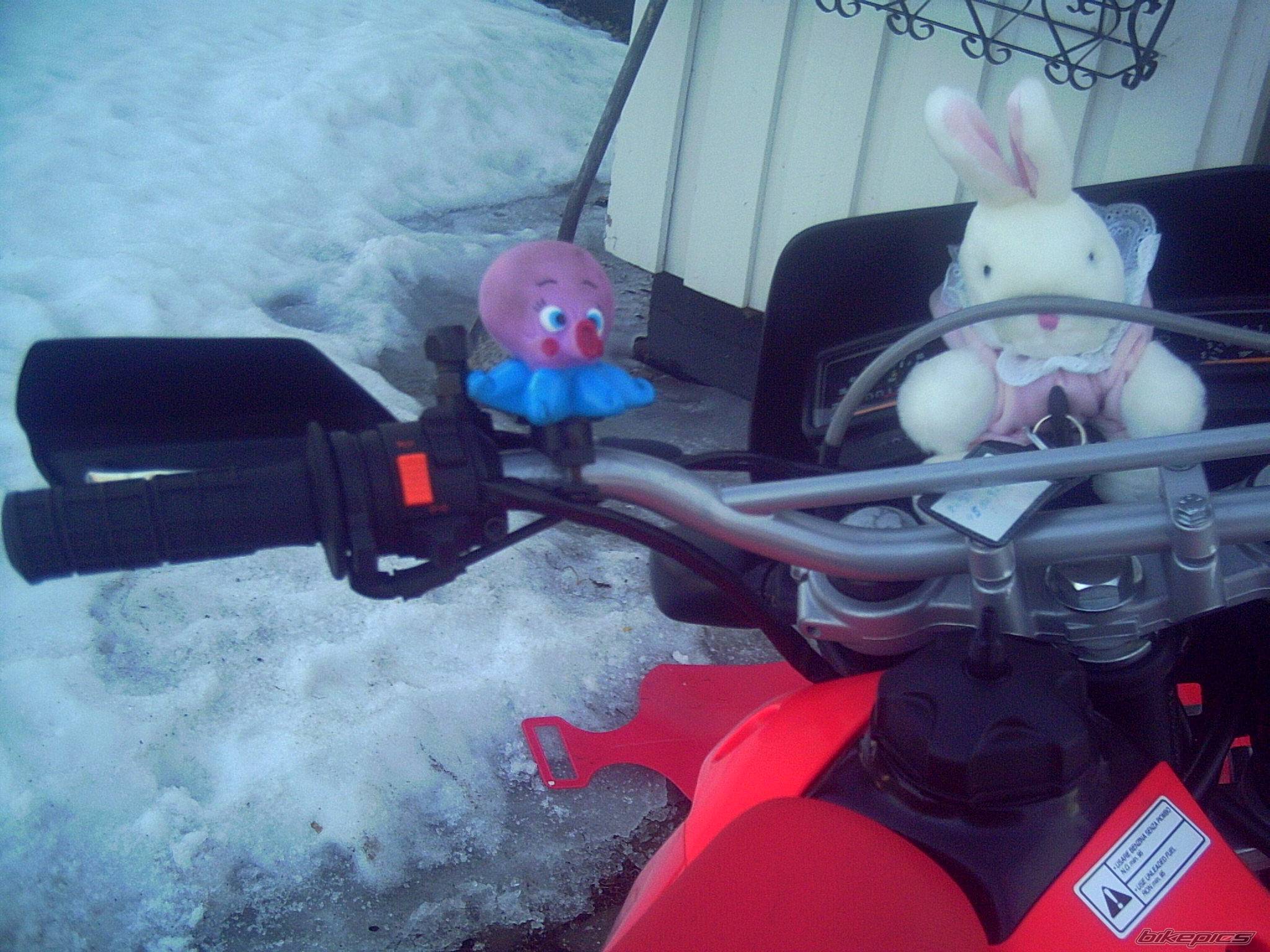 Photo 321706