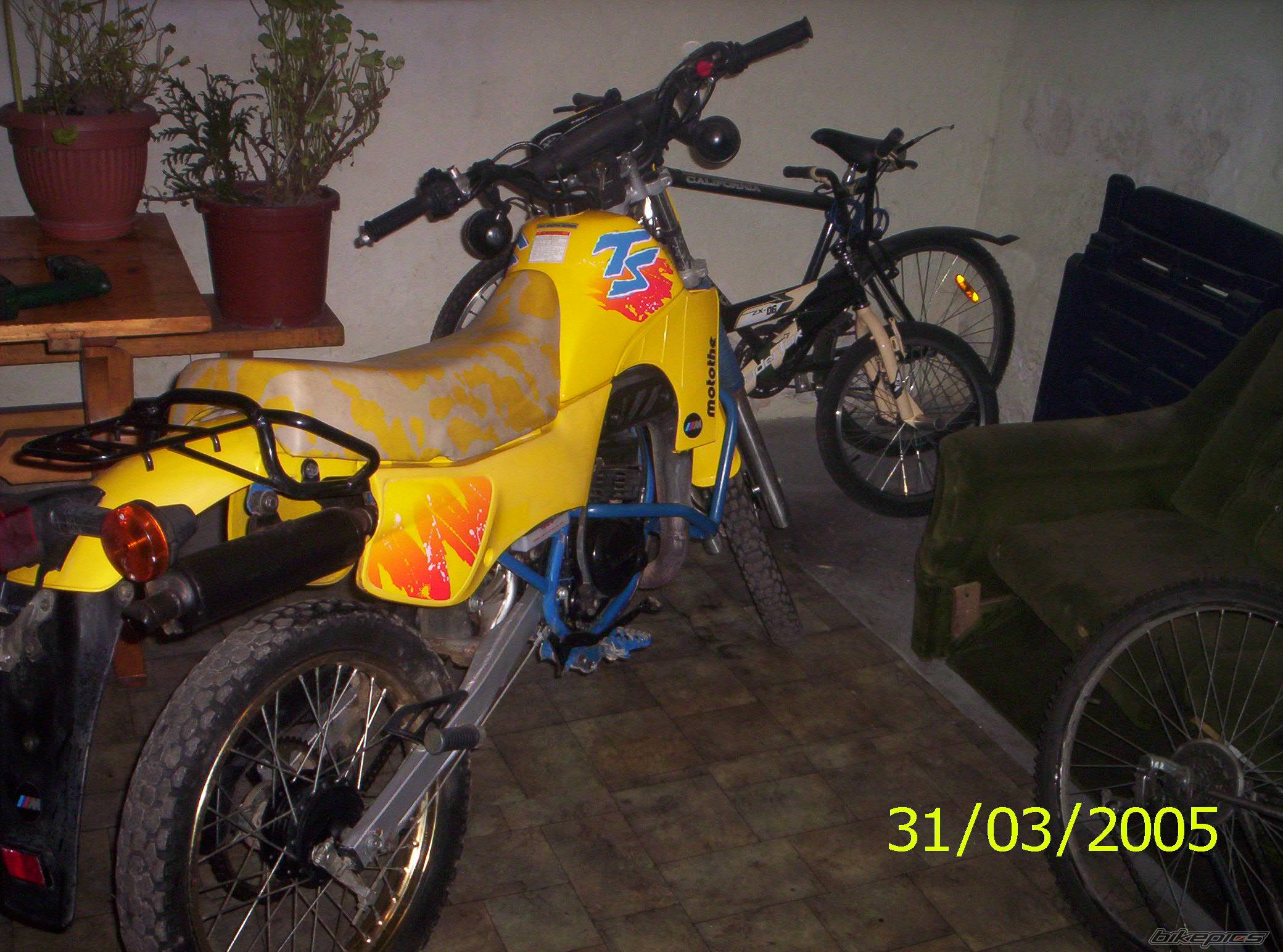 Photo 321768