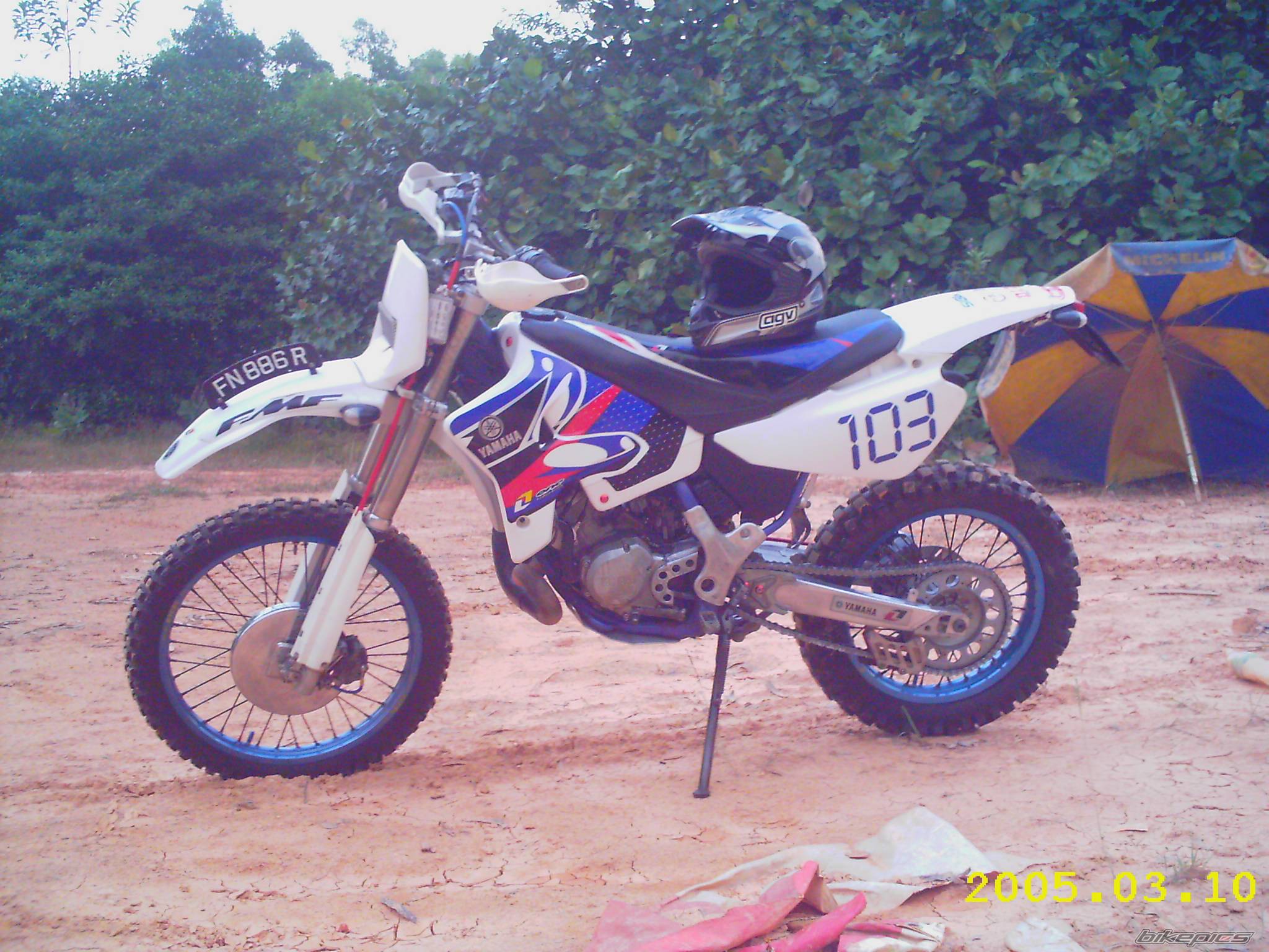 Photo 321797