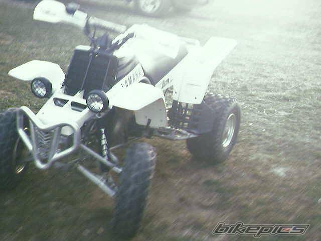 Photo 321972