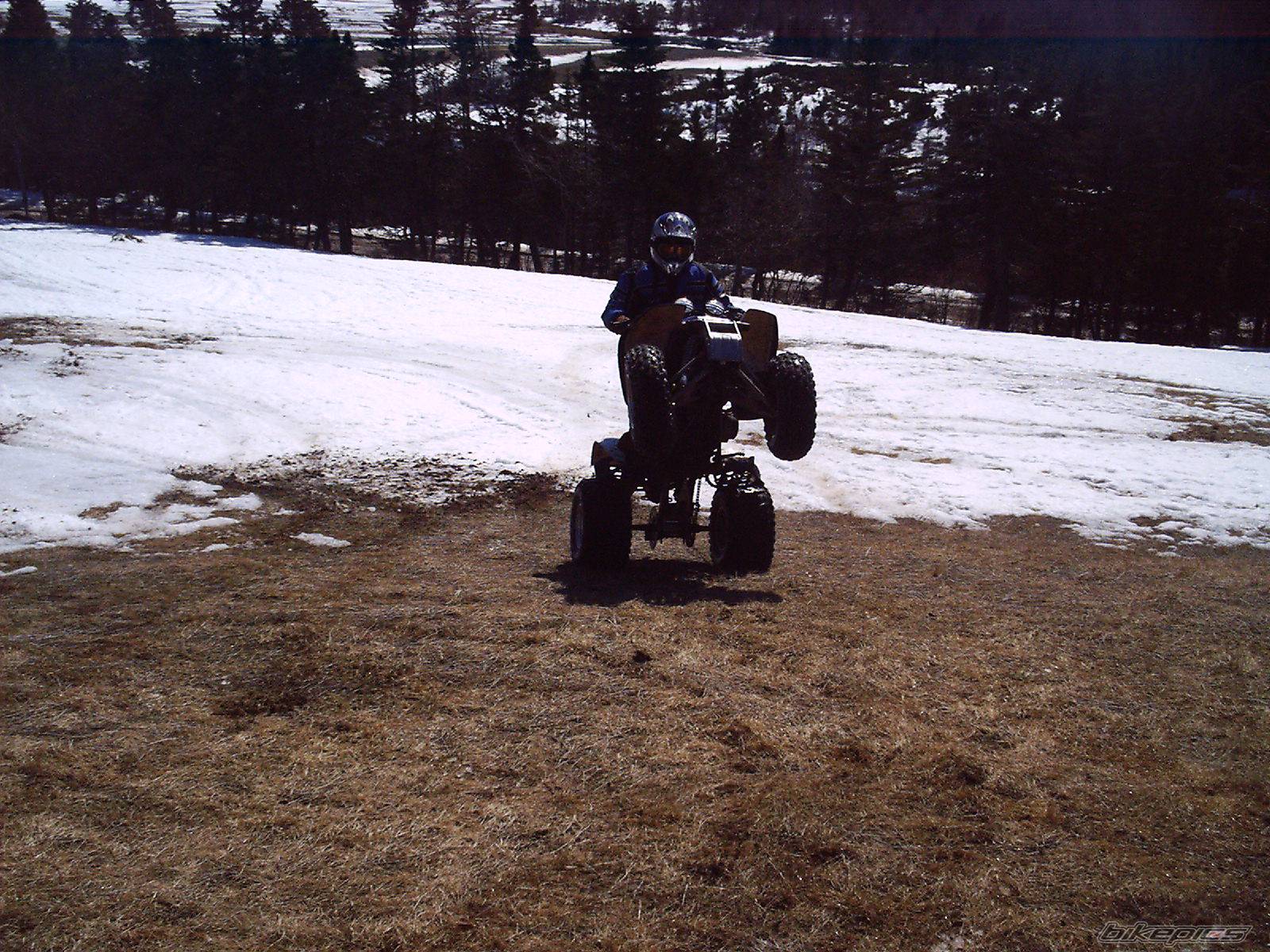 Photo 322374