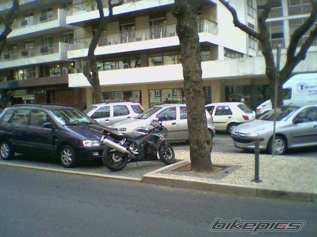 Photo 322429