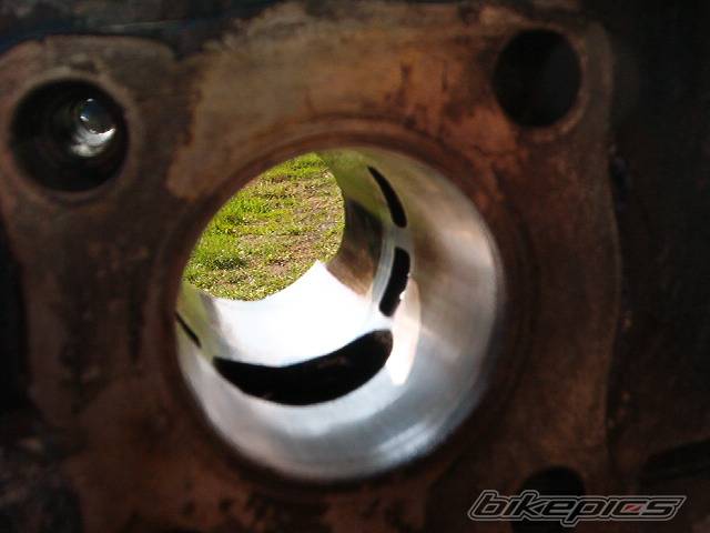 Photo 322519