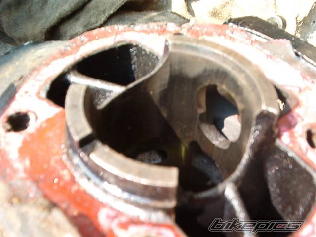 Photo 322520