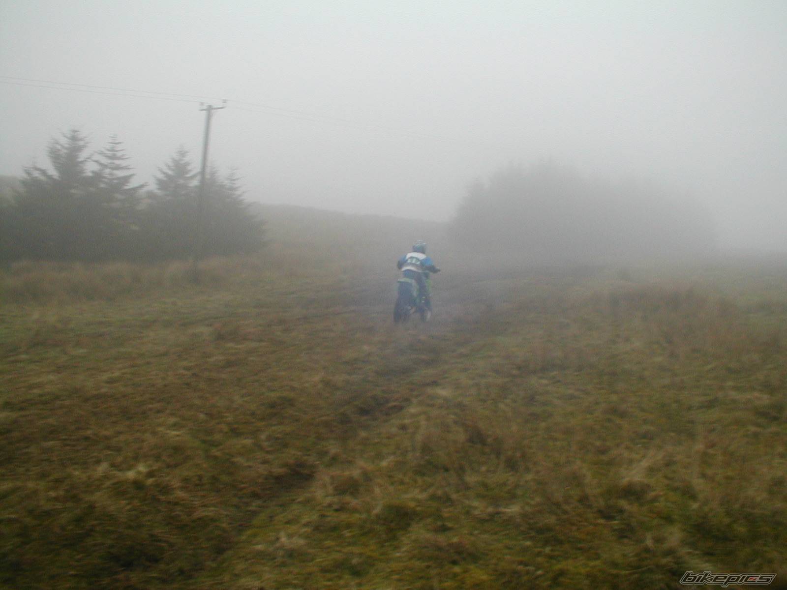 Photo 322539