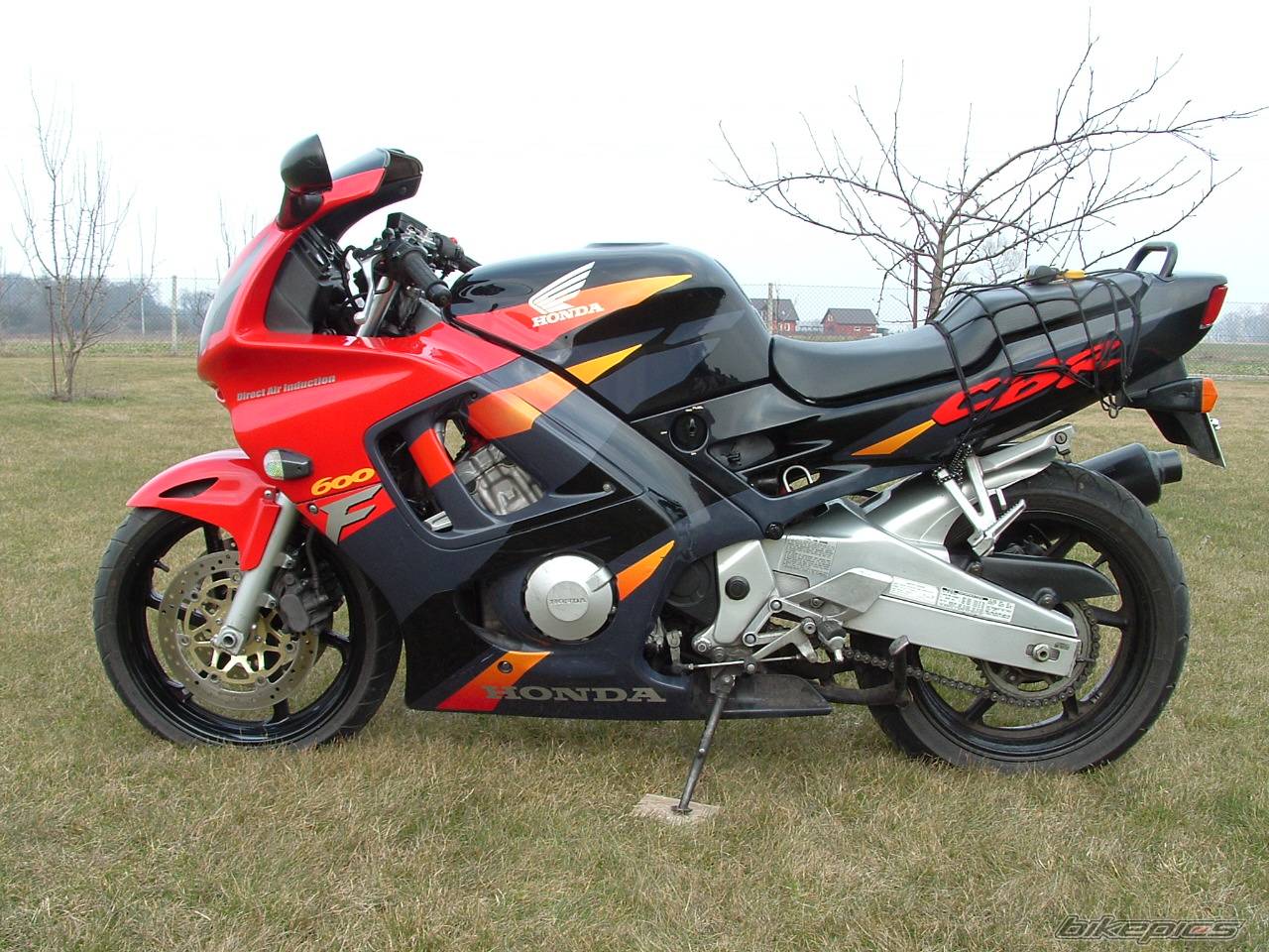 Photo 322566