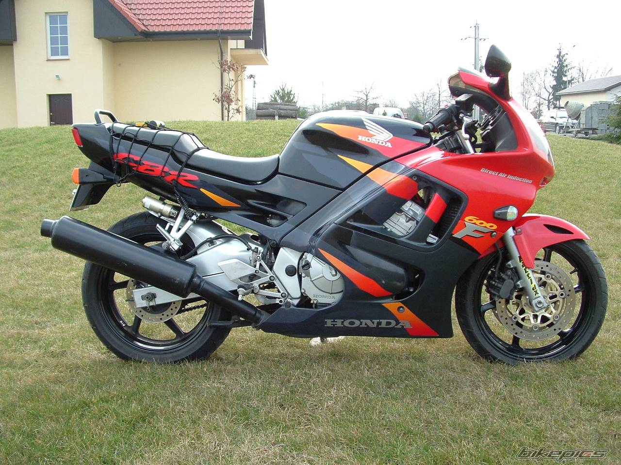 Photo 322569