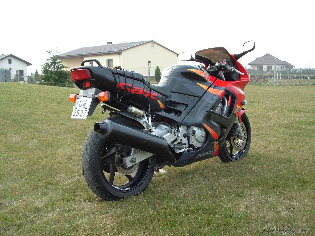 Photo 322571