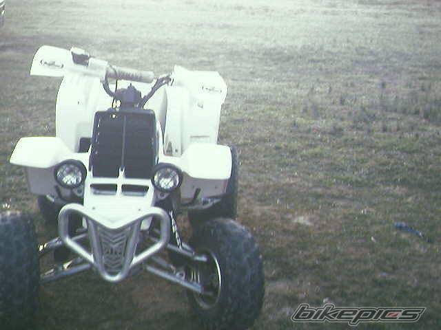 Photo 322669