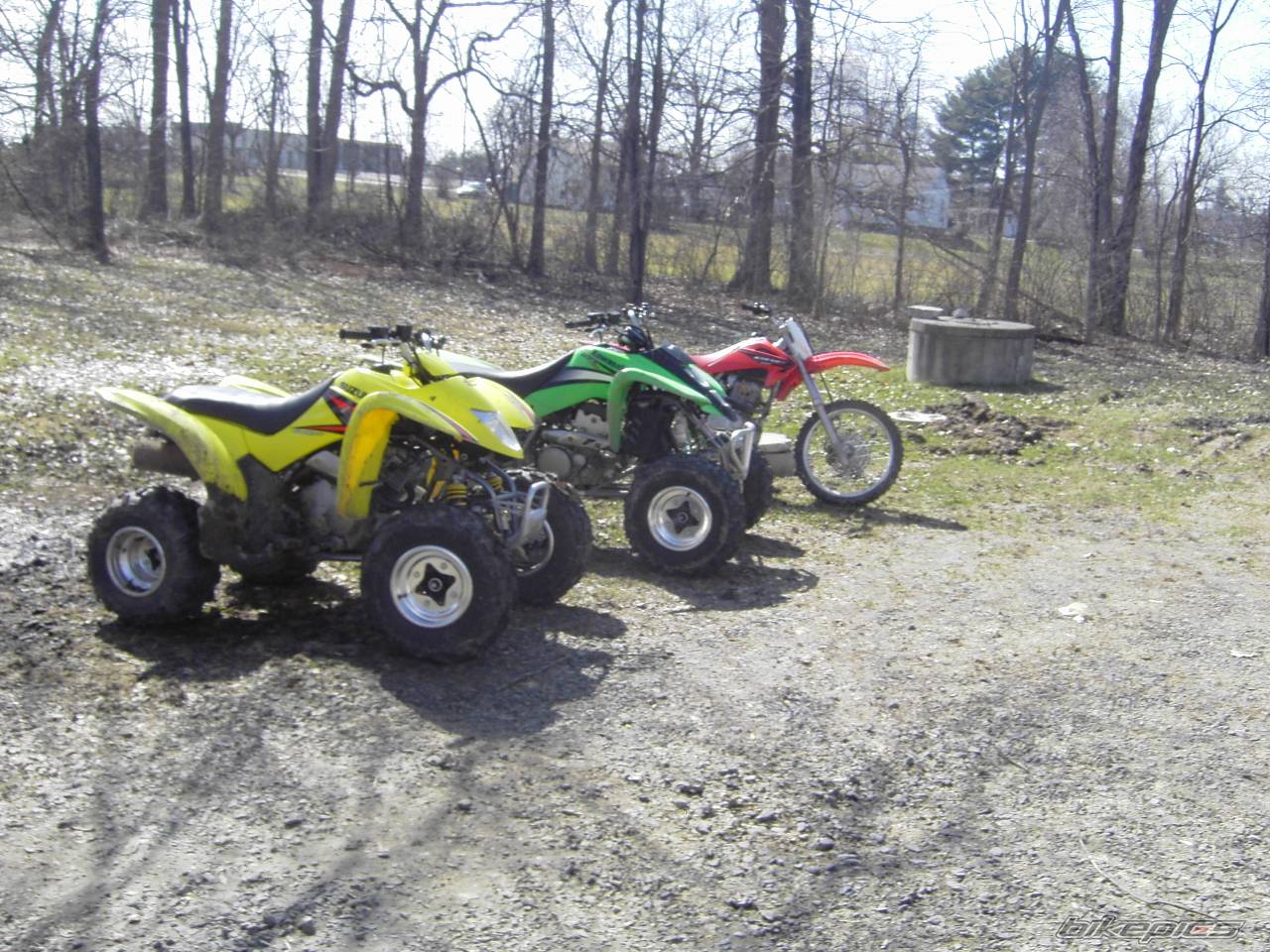 Photo 322808