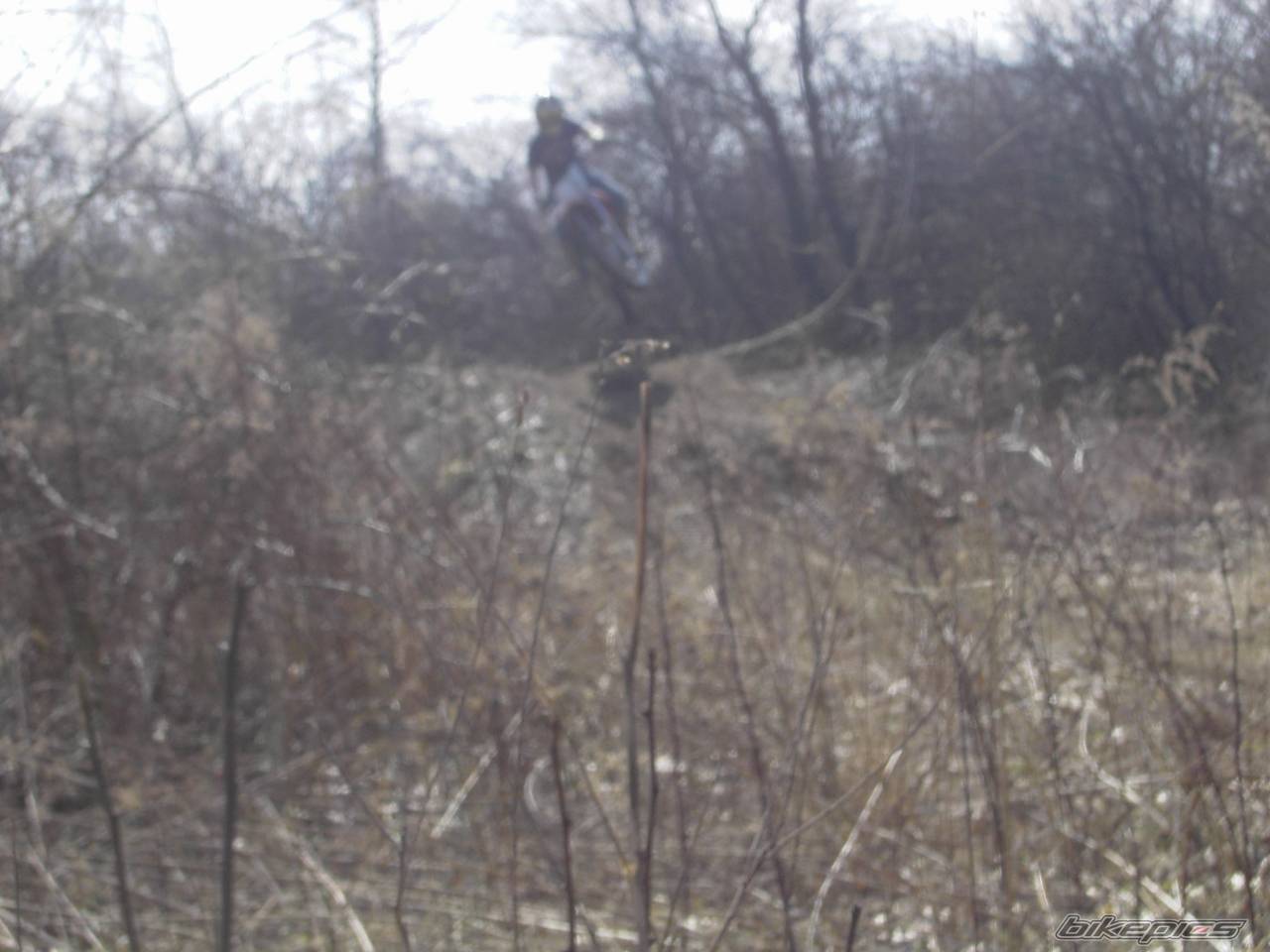 Photo 322821