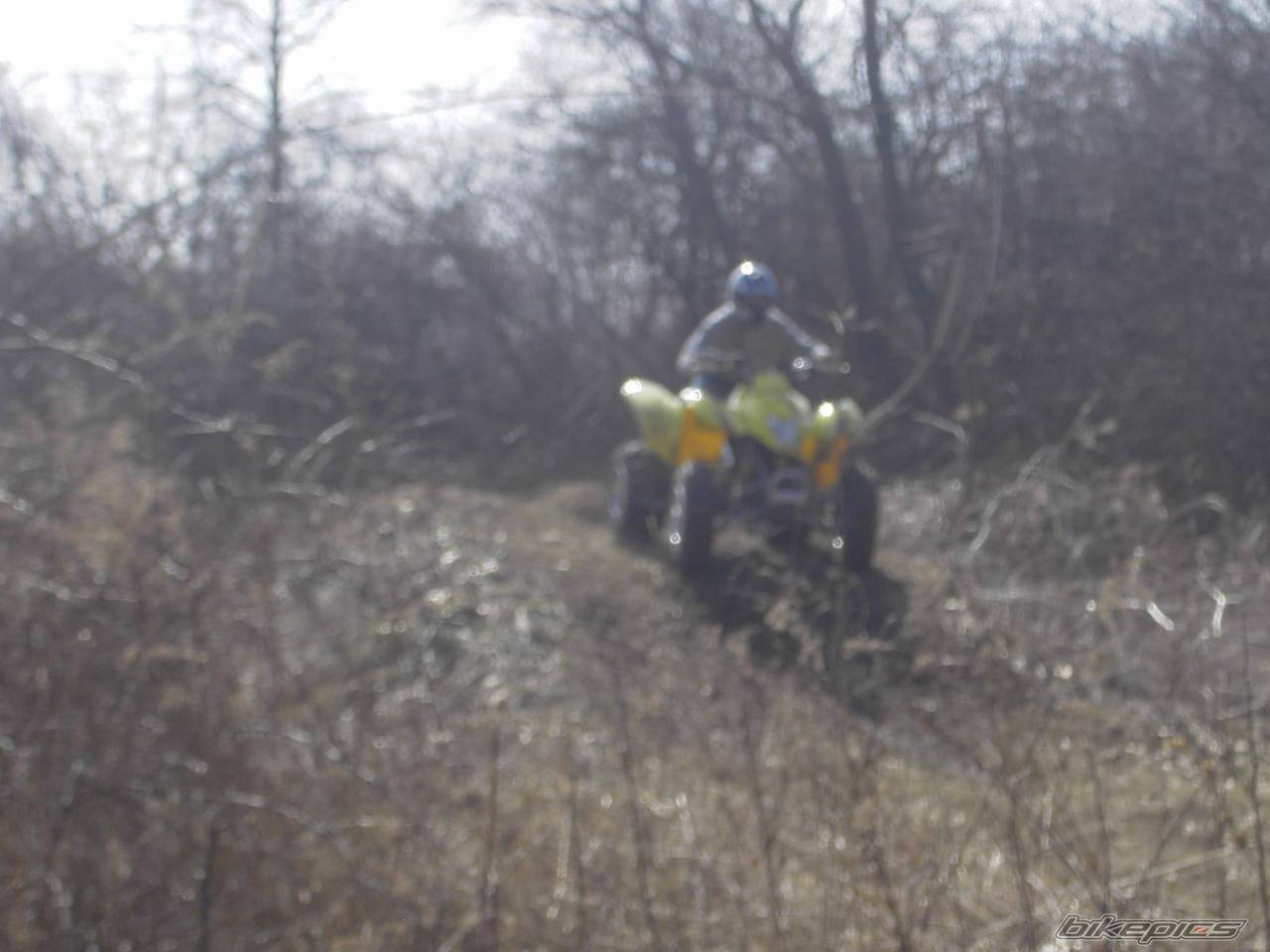 Photo 322828