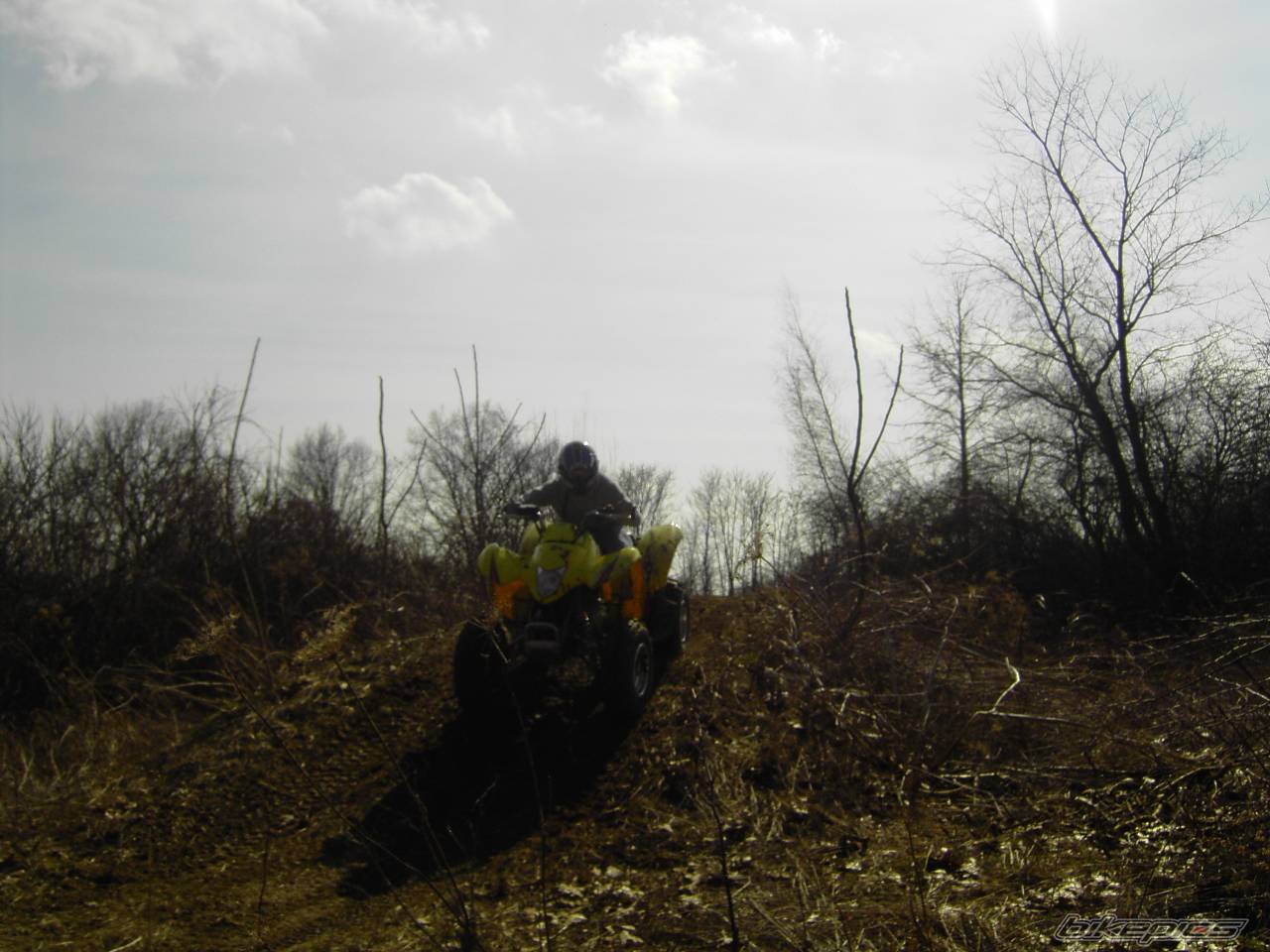 Photo 322831