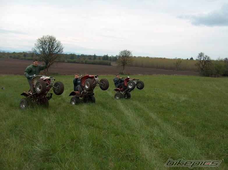 Bike Photo 323075
