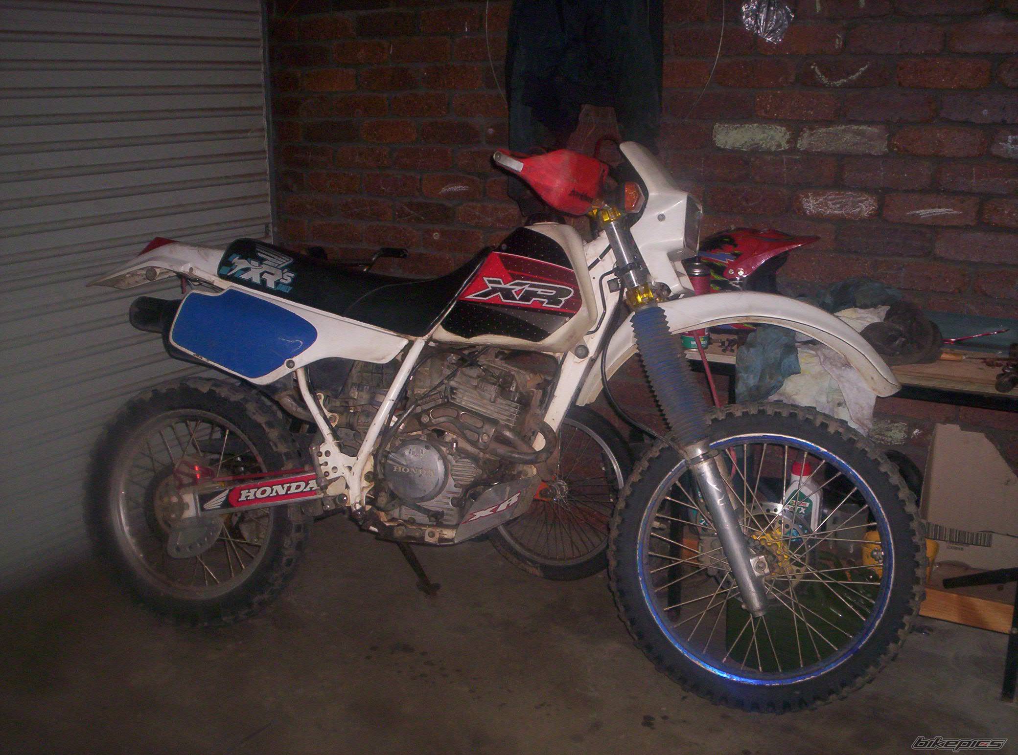 Bike Photo 323151