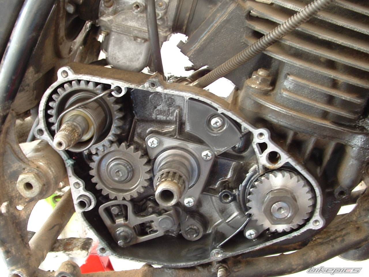 Bike Photo 323233