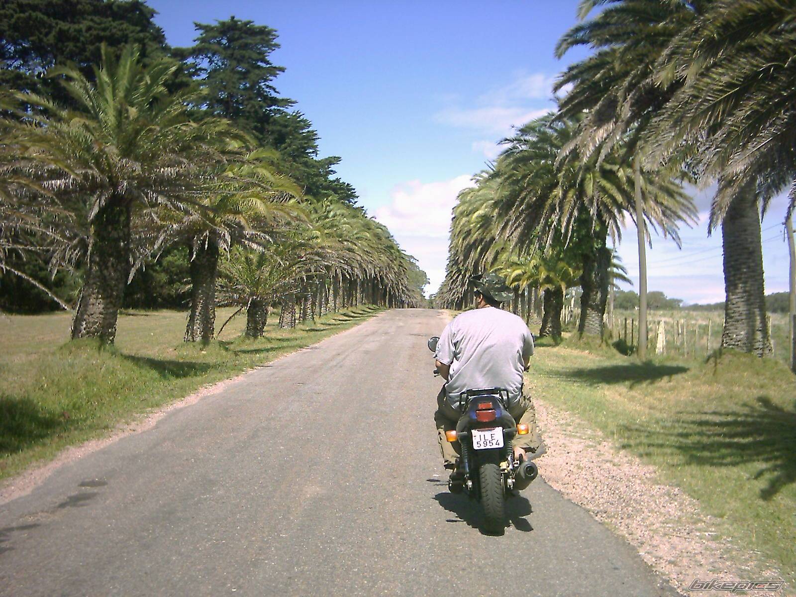 Bike Photo 323282