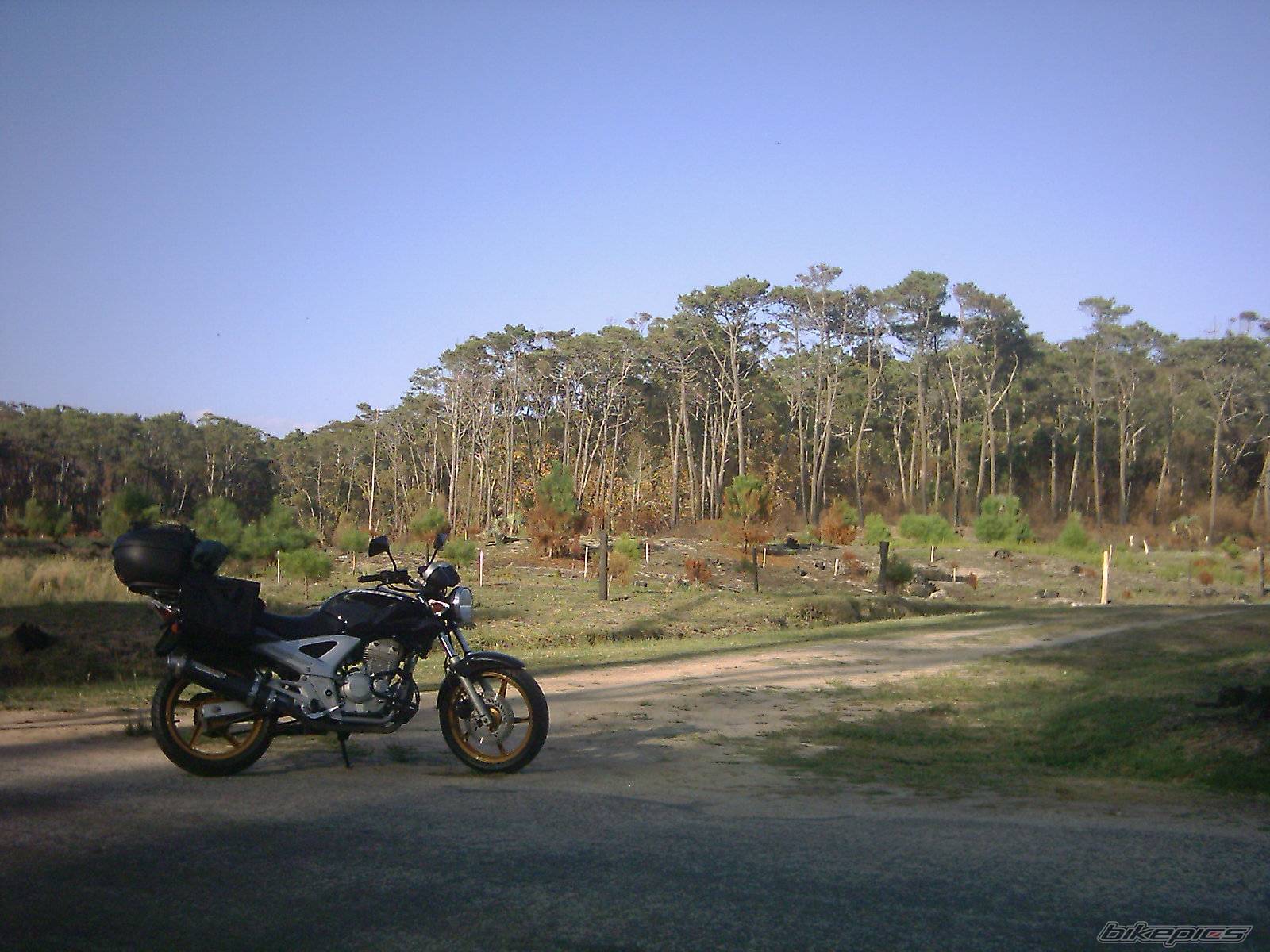 Bike Photo 323294