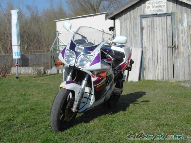 Photo 323341