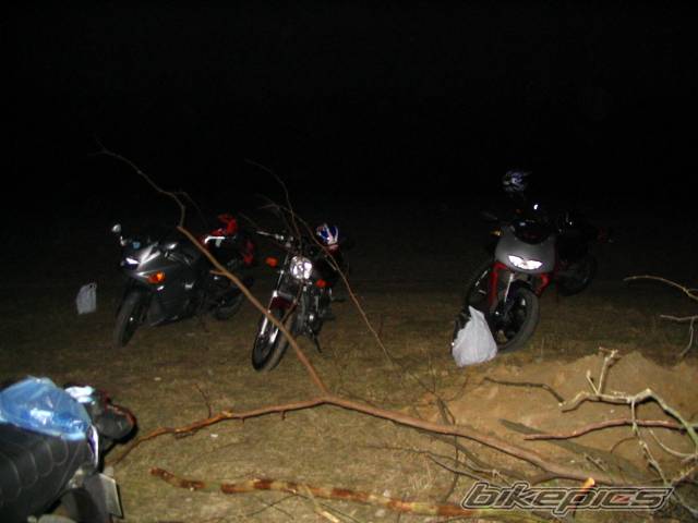 Photo 323440
