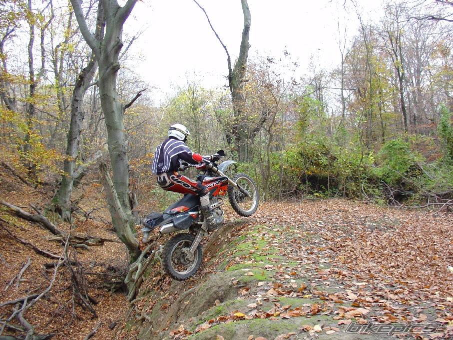 Bike Photo 323496