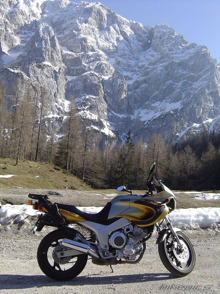 Bike Photo 323531