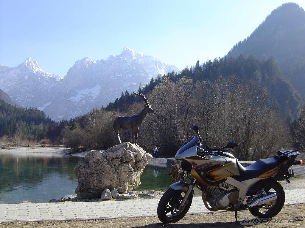 Bike Photo 323532