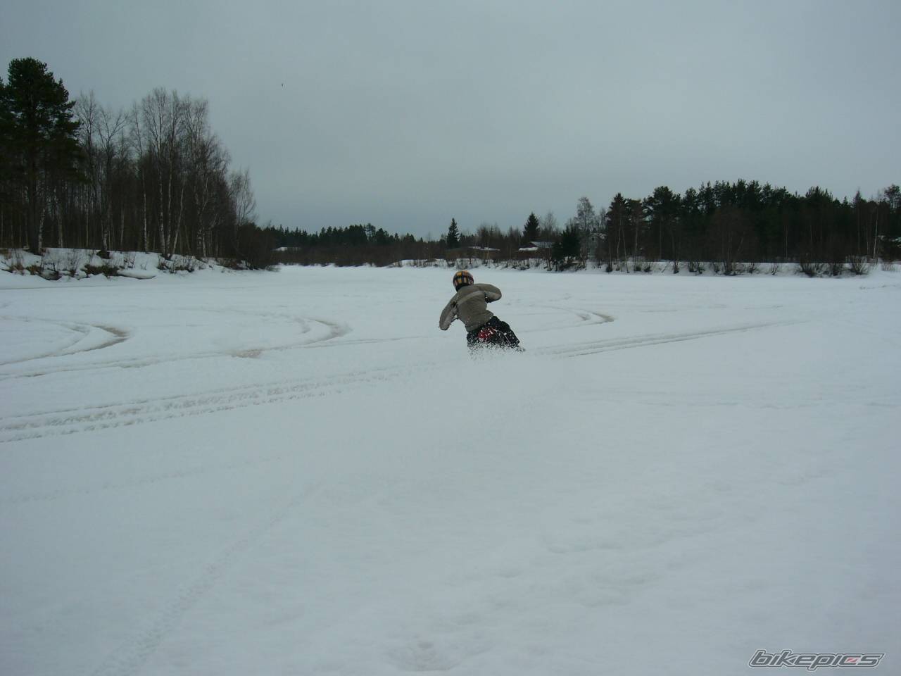 Photo 323545