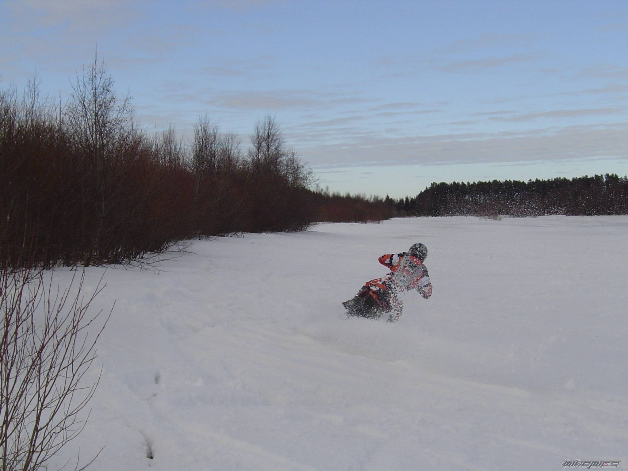 Photo 323593