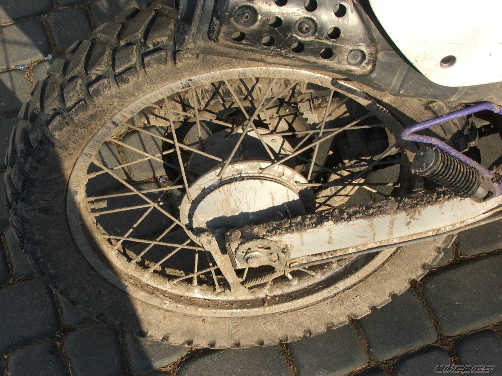 Bike Photo 323610