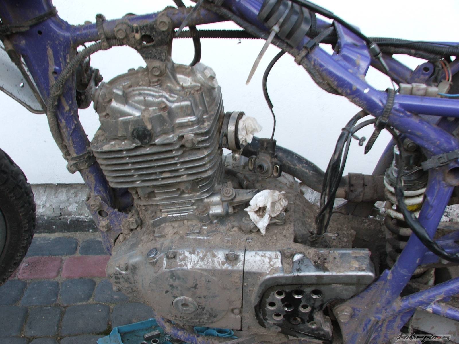 Bike Photo 323621