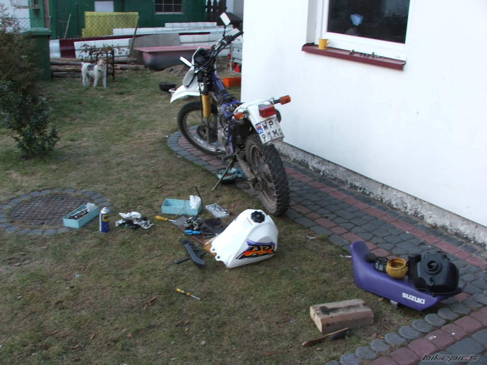 Bike Photo 323631