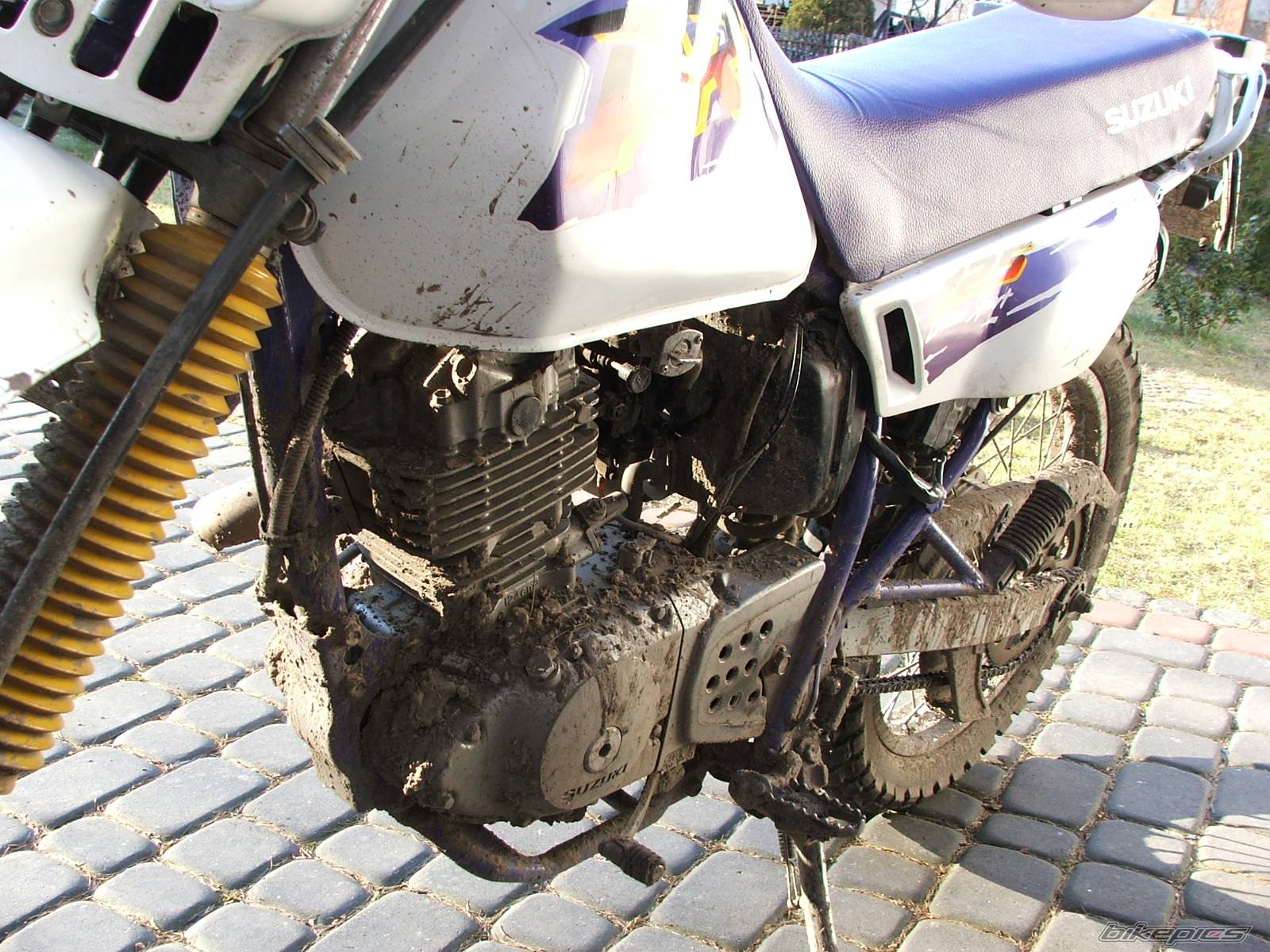 Bike Photo 323637