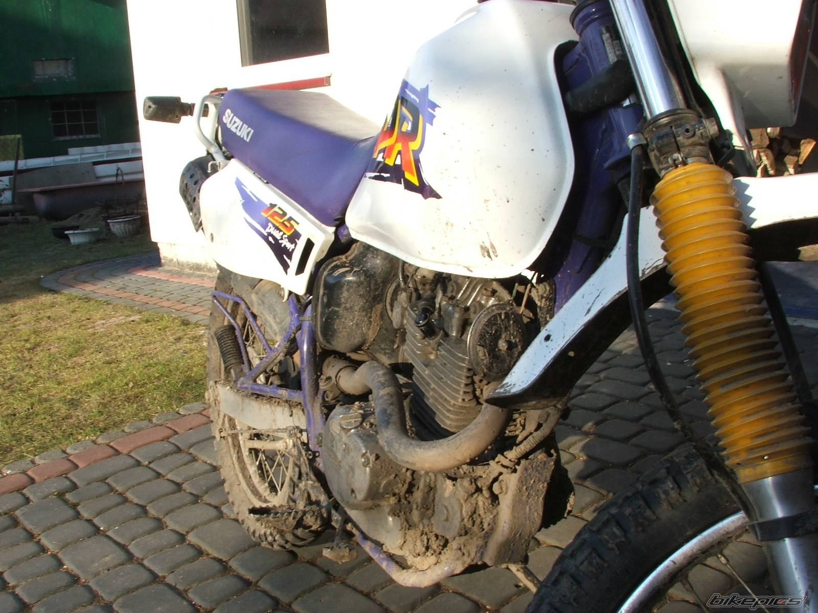 Bike Photo 323639