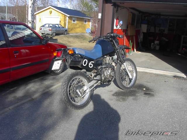 Photo 323797
